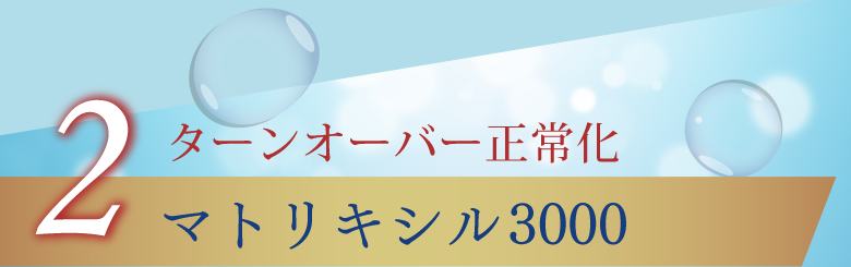 2 ターンオーバー正常化 マトリキシル3000