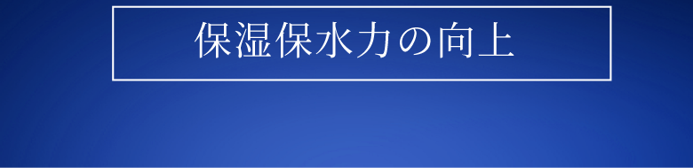 保湿保水力の向上