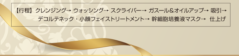 【行程】クレンジング→ ウォッシング→ スクライバー→ ガスール＆オイルアップ→ 吸引→ デコルテネック・小顔フェイストリートメント→ 幹細胞培養液マスク→  仕上げ